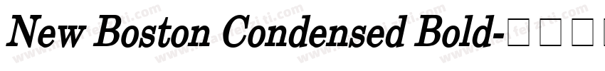 New Boston Condensed Bold字体转换